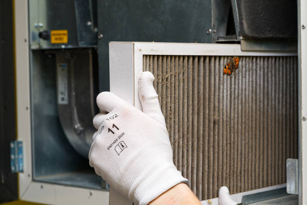 Best Professional Duct Cleaning Services  in Gallup, NM