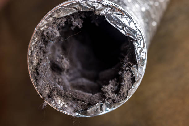 Best Affordable Duct Cleaning Services  in Gallup, NM